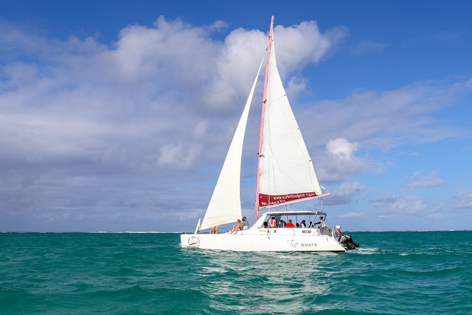 Catamaran cruise to Ile aux cerfs with bbq lunch - The GRSE waterfalls make a lively first stop