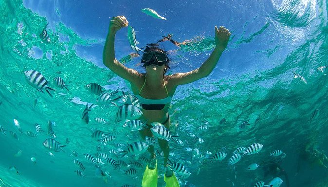 Catamaran Experience to Ile aux cerf: incl: Parasailing, Lunch, GRSE & Transfer - Grand River South East waterfall by speedboat