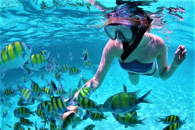 Catamaran Ile aux Cerfs, snorkeling + GRSE Waterfall, BBQ & Bar - Ile aux Cerfs: Three Hours to Set Your Own Pace