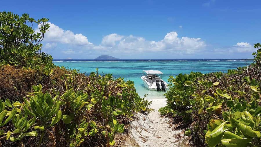 Catamaran Mauritius Cruise in the North Coasts - Key points to know before you book