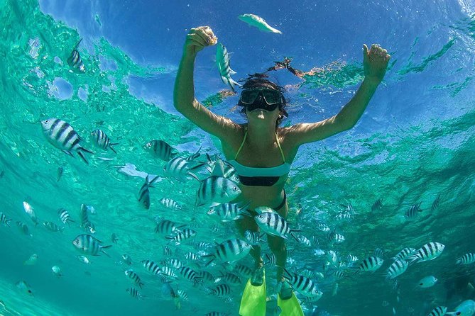 Catamaran to Ile aux Cerf with Parasailing, Tube Riding & Lunch - Grand River South East and its short waterfall ride