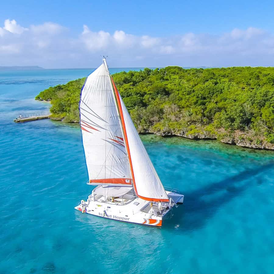 Catamaran trip to Ile Aux Cerfs With Two Way Transportation - Île aux Cerfs and time in the water