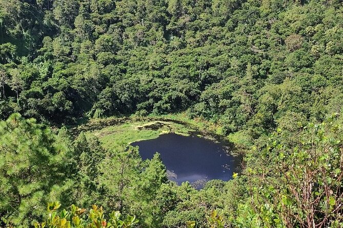 Chamarel 7 Colours and Waterfalls - Exclusive South West Tour - Rhumerie Chamarel and the taste of local rum