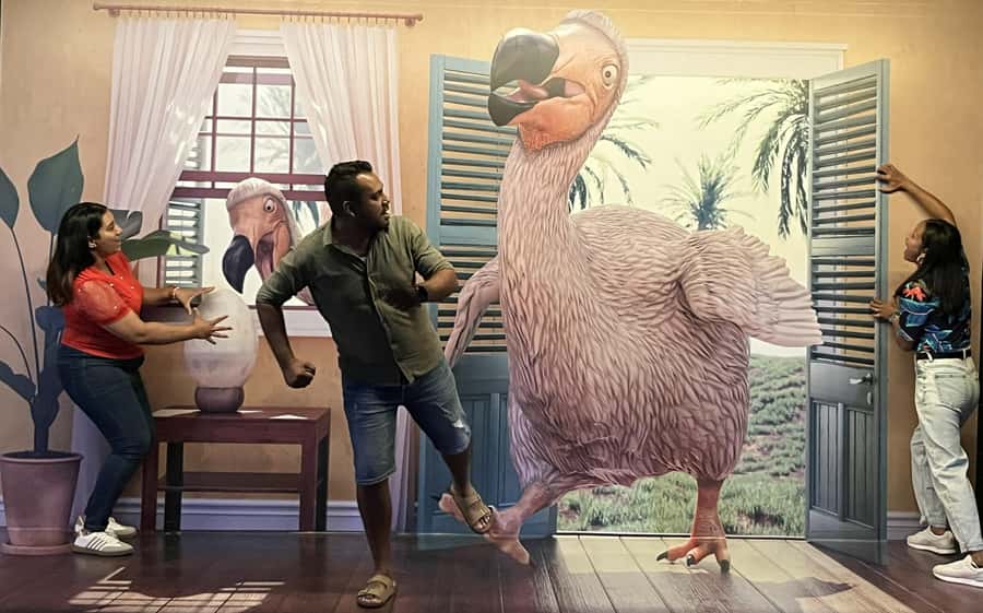 Chamarel: Curious Mauritius Entry Ticket - Posing in the Upside Down Room