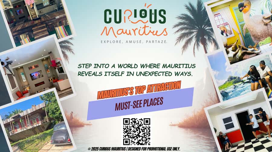 Chamarel: Curious Mauritius Entry Ticket - Browsing Puzzles and Things Shop