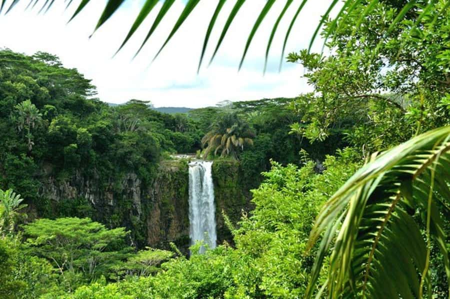 Chamarel: Southwest Mauritius Private Guided Day Tour - Handmade ships and Mauritius craftsmanship
