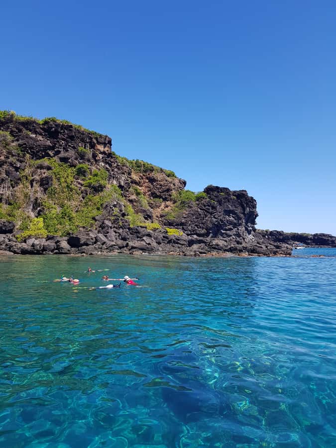 Coin de Mire 2-Hour Private Snorkeling Trip - Is $412 good value for two hours?