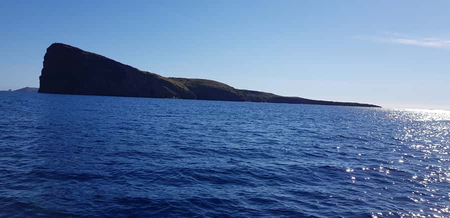Coin de Mire 2-Hour Private Snorkeling Trip - Who will enjoy this trip most?