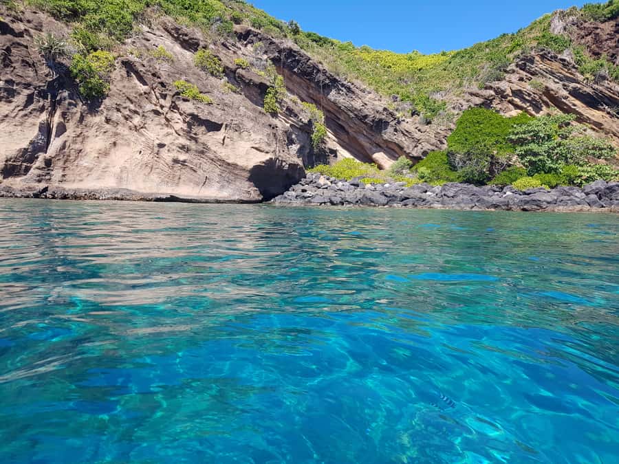 Coin de Mire 2-Hour Private Snorkeling Trip - Practical advice for a smoother outing