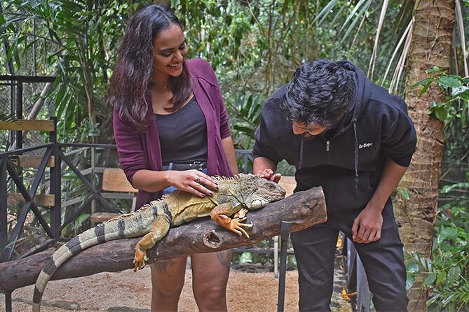 Crocodile Nature Park - Who Will Enjoy This Southern Mauritius Tour?