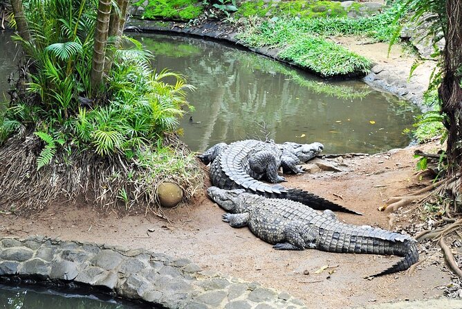 Crocodile Nature Park - From Gris Gris Beach to the Southern Coast