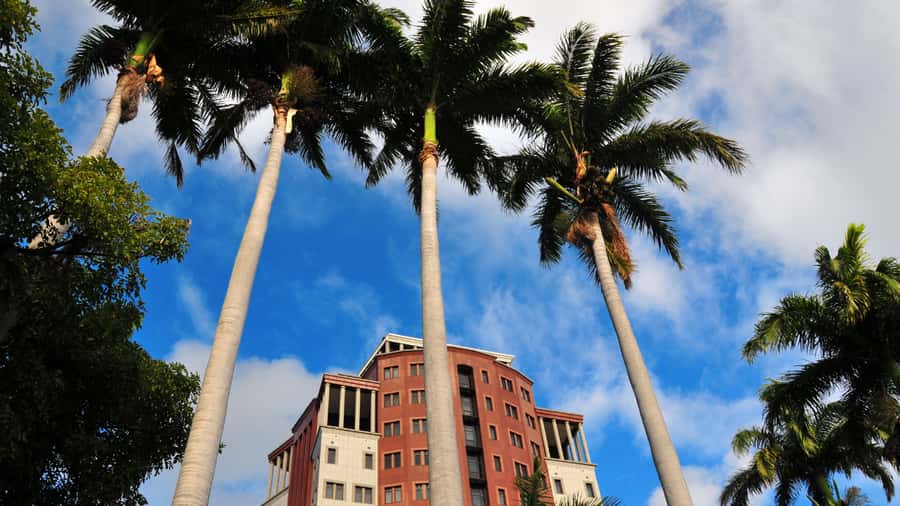 Cultural Delights & Heritage Treasures in the City - What the Guide Adds