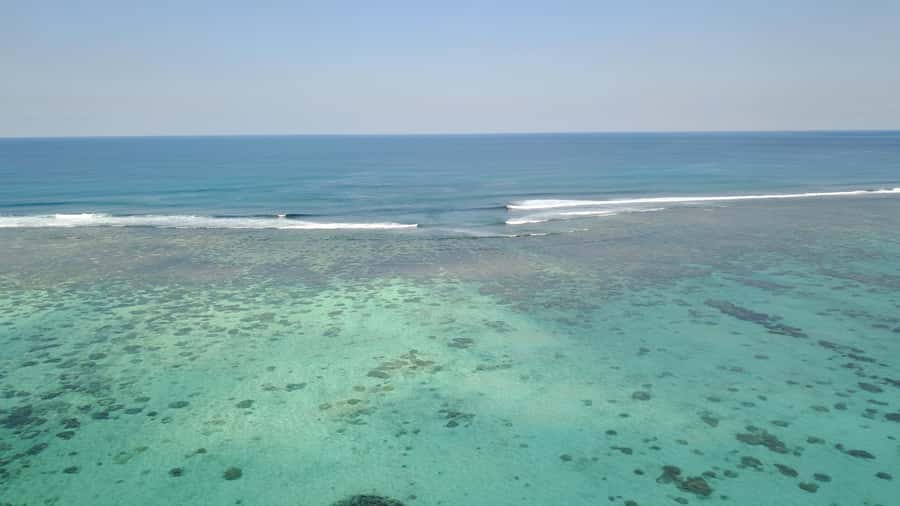 Day Trip at Ile aux Cerfs and other Gems of the South. - Key points at a glance