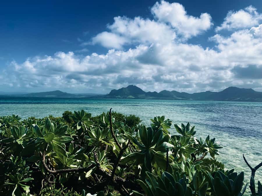 Day Trip at Ile aux Cerfs and other Gems of the South. - The first 15-minute sail and the lagoon stops