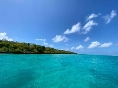 Day Trip at Ile aux Cerfs and other Gems of the South.