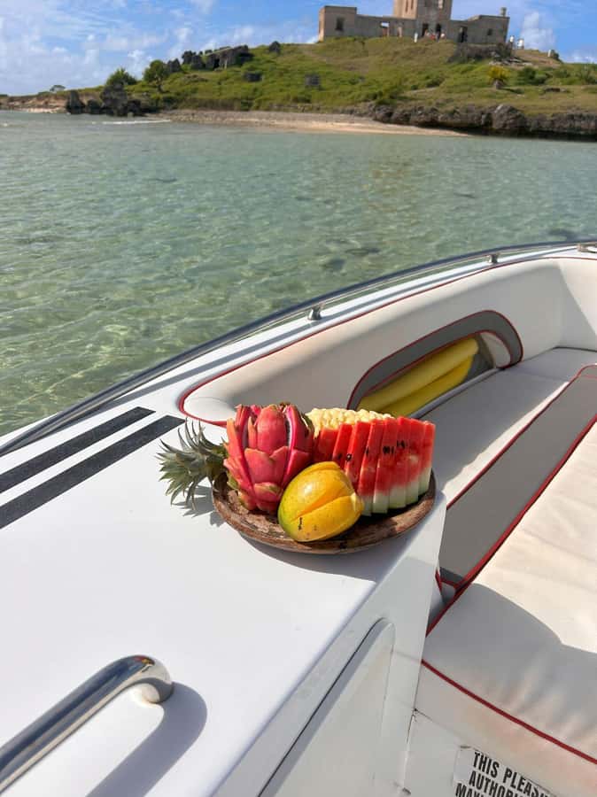 DAY TRIP: Private Speedboat Excursion in Mauritius - Île aux Cerfs and a two-hour beach barbecue