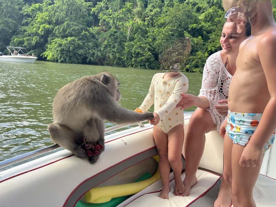 DAY TRIP: Private Speedboat Excursion in Mauritius - What the six-hour schedule really feels like