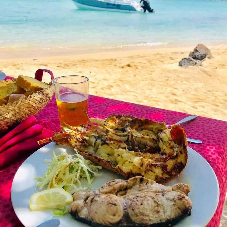 DAY TRIP: Private Speedboat Excursion in Mauritius - Price, group size, and what you receive