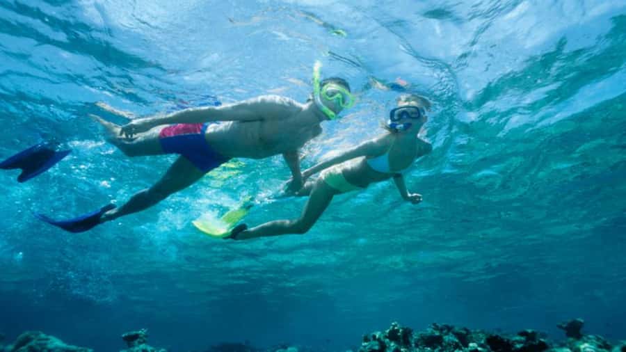 Discover Mauritius: Dolphin Watch, Snorkeling, BBQ Lunch - Key points to know before booking