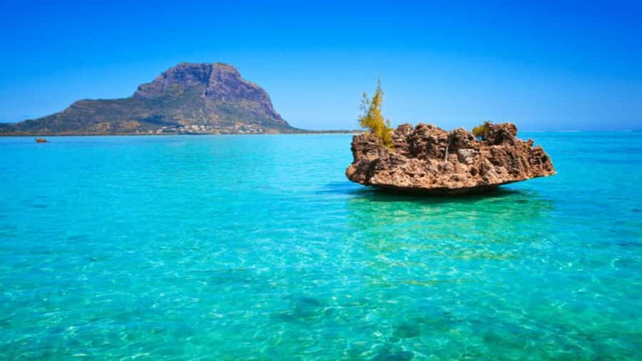 Discover Mauritius: Dolphin Watch, Snorkeling, BBQ Lunch - What this Mauritius sea day actually offers