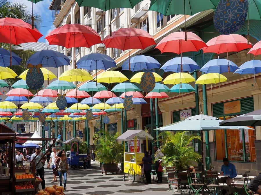 Discover Mauritius Full Day with Your Personal Driver-Guide - Key things to know before booking