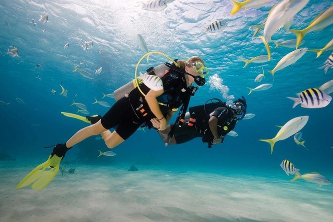Discover Scuba Diving Experience - Starting at Blue Bay on Mauritius’s southeast coast