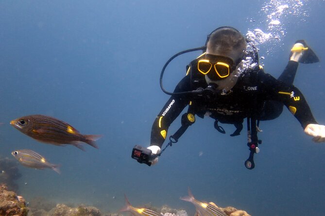 Discover Scuba Diving Experience - Blue Bay and Mahebourg from below