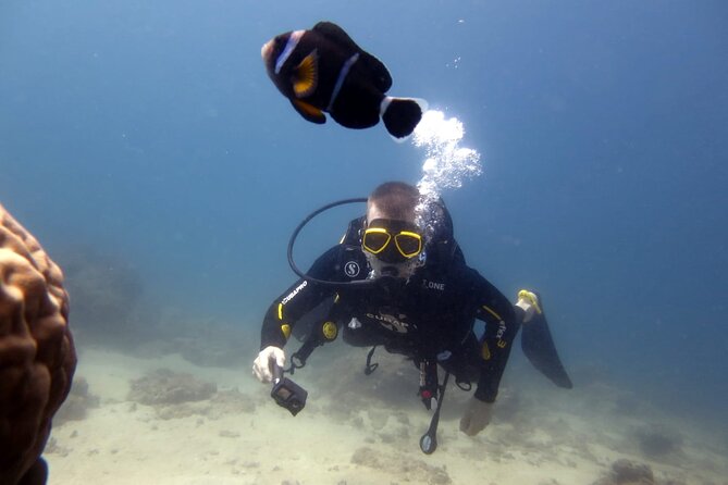 Discover Scuba Diving Experience - The debriefing and return to the center