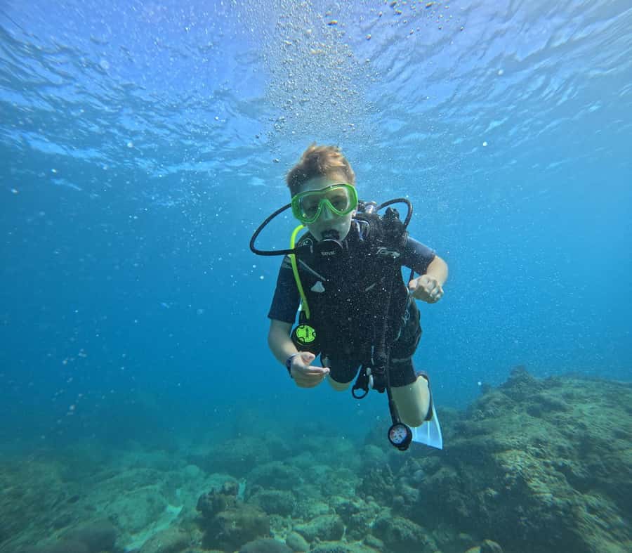 Discover Scuba Diving in BEL OMBRE - Key Points to Know Before You Book