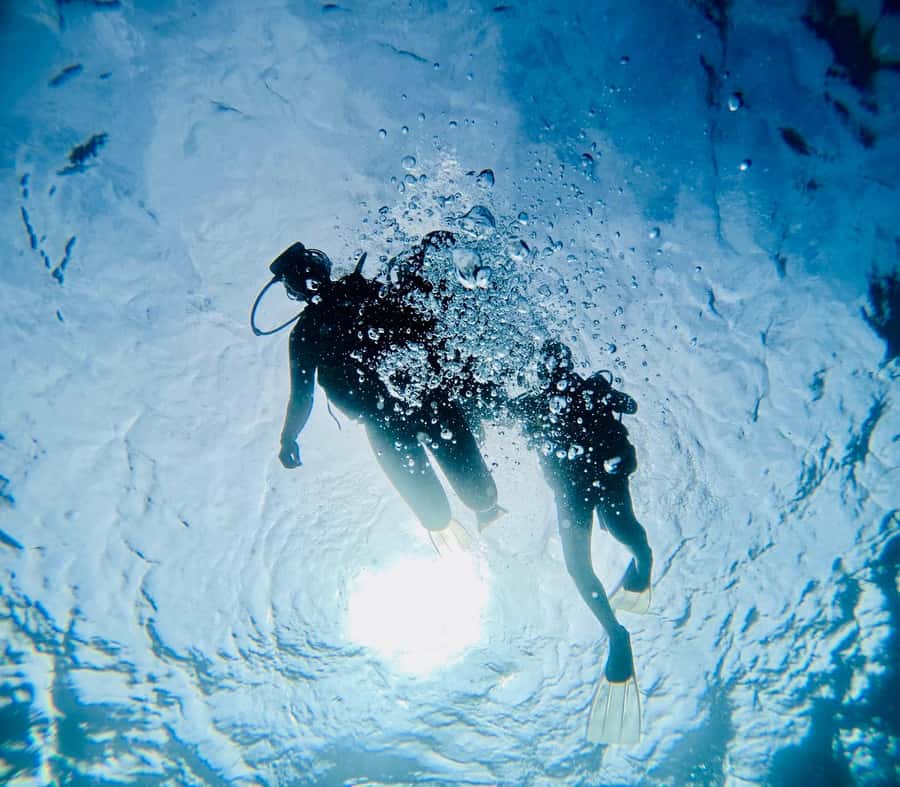 Discover Scuba Diving in BEL OMBRE - Health Rules You Should Take Seriously