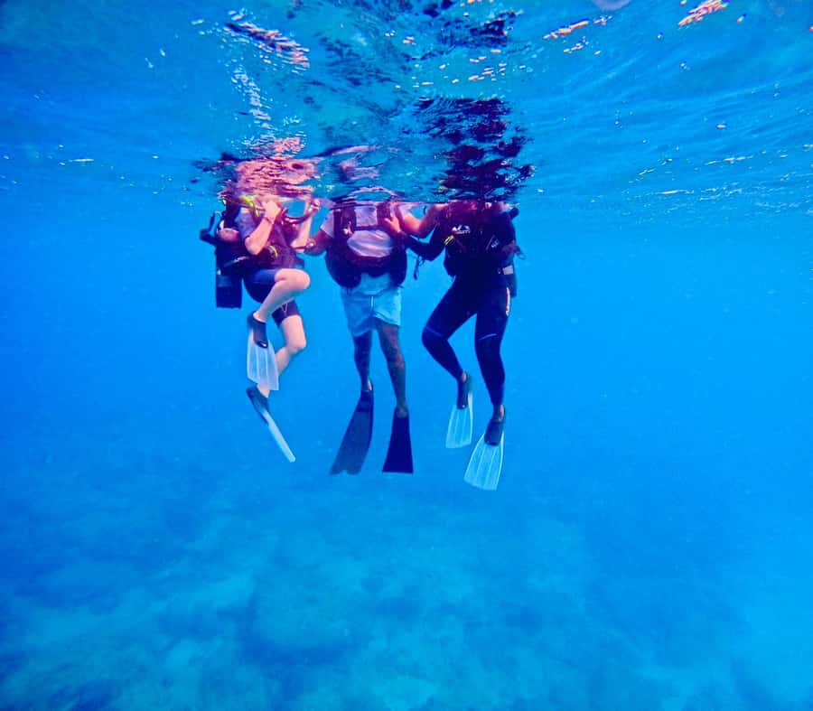 Discover Scuba Diving in BEL OMBRE - Should You Book This Bel Ombre Experience?