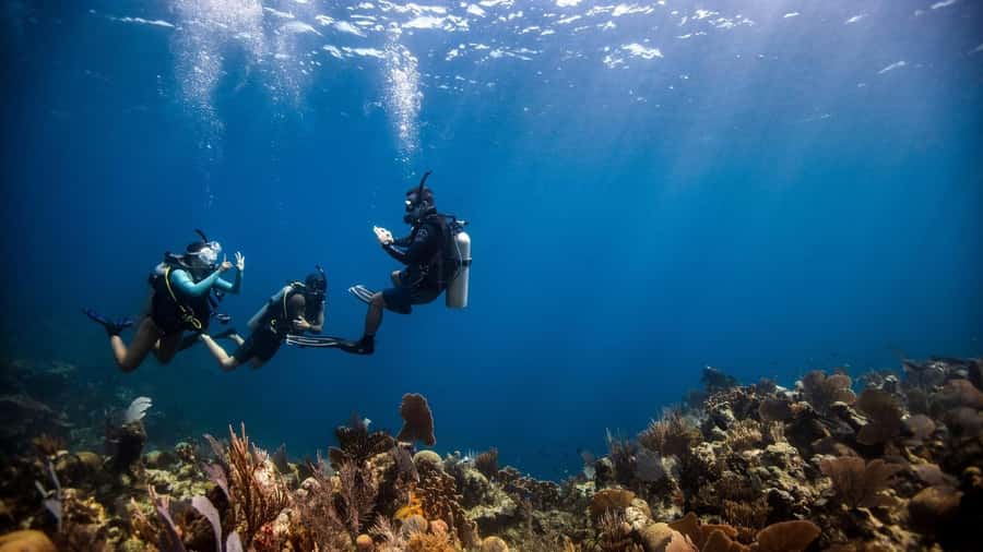 DISCOVER SCUBA DIVING IN LEMORNE with EasydiveMauritius - Key points to know before booking