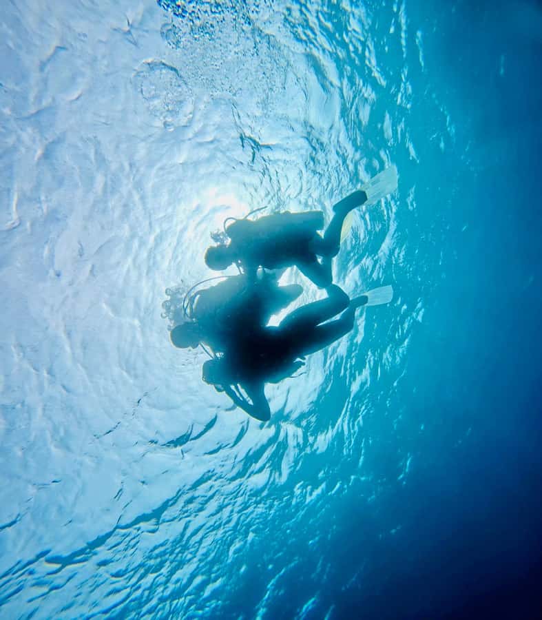 DISCOVER SCUBA DIVING IN LEMORNE with EasydiveMauritius - The $159 price and what it covers