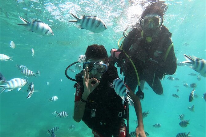 Discover Scuba Diving in Mauritius - Key points at a glance