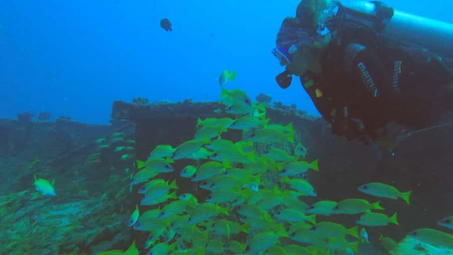 Discover Scuba Diving in the North of Mauritius - Heading Out for the Guided Ocean Session