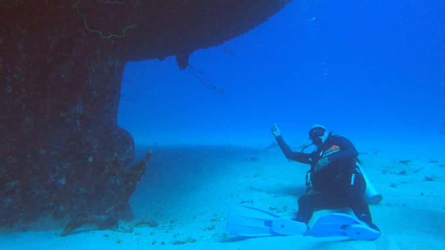 Discover Scuba Diving in the North of Mauritius - What The Marine Life Adds To The Experience