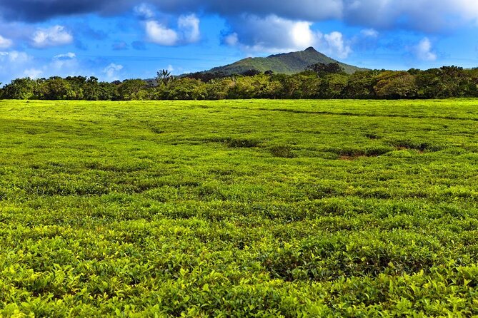 Discover the East of Mauritius: Full-day All-inclusive tour (Visit to 3 parks) - Key points at a glance