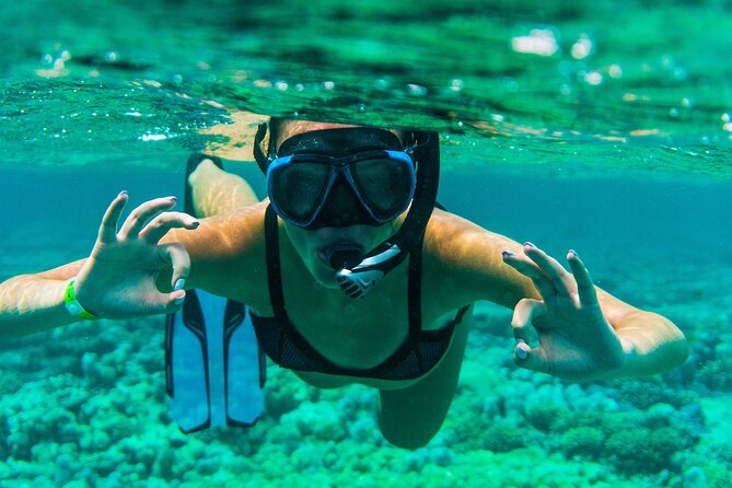 Discover the East of Mauritius: Full-day All-inclusive tour (Visit to 3 parks) - Mahebourg Museum and the naval story