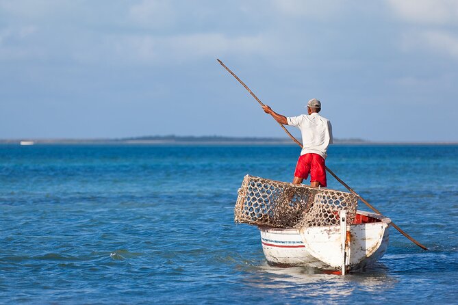 Discover the East of Mauritius: Full-day All-inclusive tour (Visit to 3 parks) - Rum making at the St-Aubin distillery