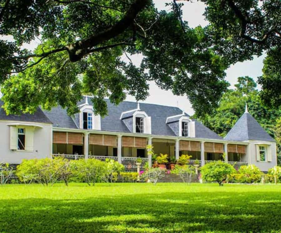 Discover the Mauritian Tea Route: With Crocodile Park - From Port Louis to the old tea country