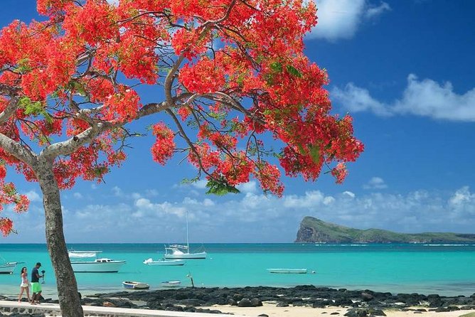 Discovering the North of Mauritius: Full-day incl Botanical garden & lunch - Cap Malheureux and the red-roofed church