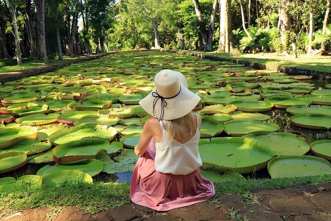 Discovering the North of Mauritius: Full-day incl Botanical garden & lunch - A Mauritian lunch between the sights