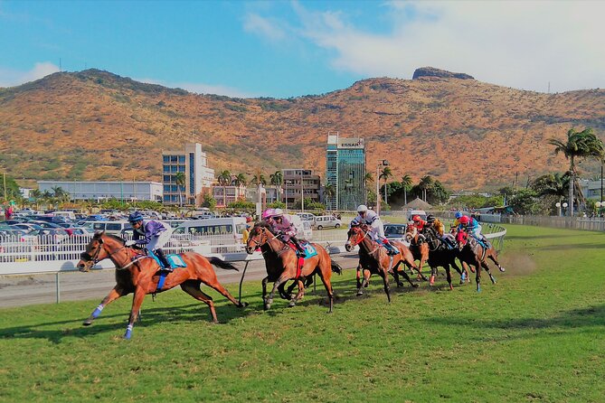 Discovering the North of Mauritius: Full-day incl Botanical garden & lunch - Citadelle Fort Adelaide above Port Louis
