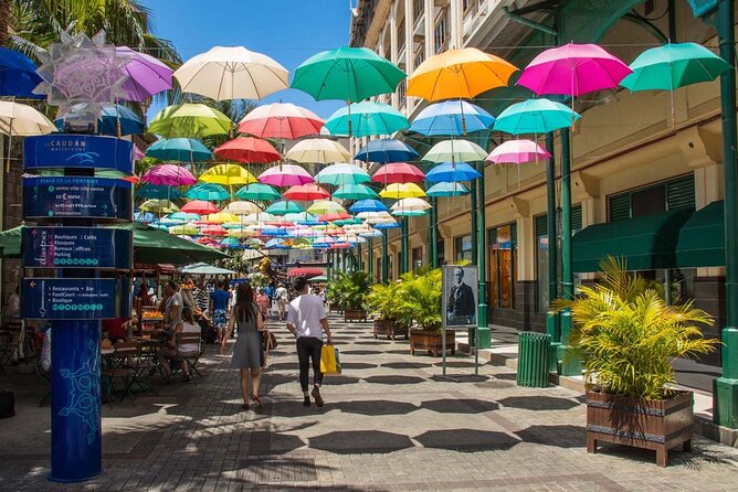 Discovering the North of Mauritius: Full-day incl Botanical garden & lunch - The Blue Penny Museum and Mauritius on paper