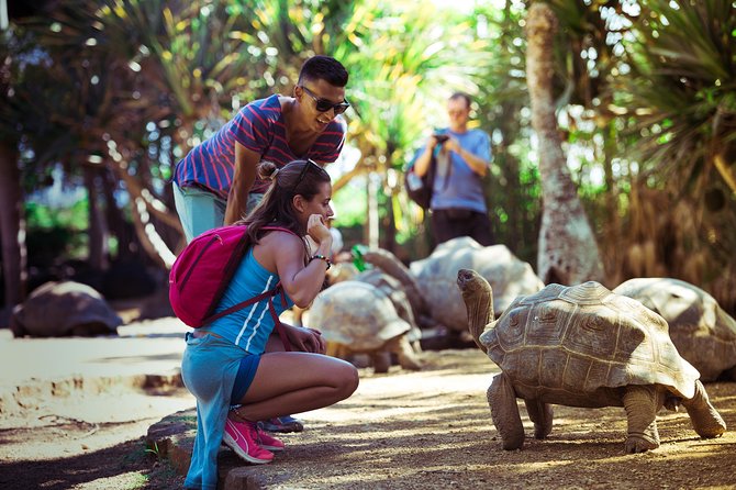 Discovery Tour 35km - Price, group size, and overall value