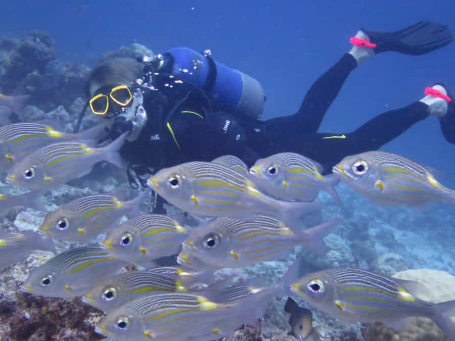Diving in the North with Blue World Adventures - What to pack for the north coast