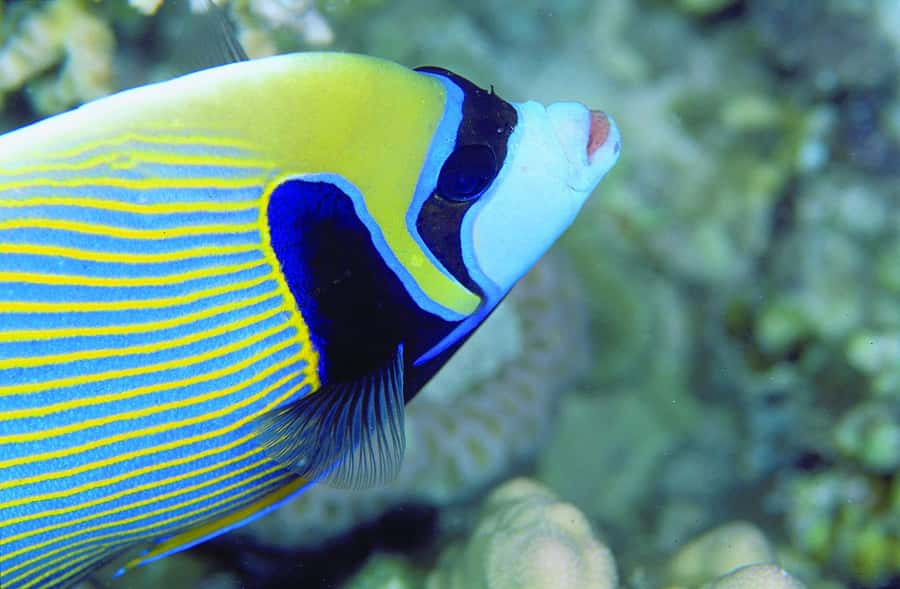 Diving in the North with Blue World Adventures - Cancellation and booking flexibility