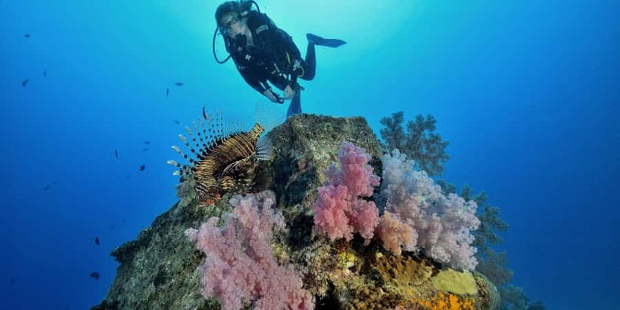 Diving in the North with Blue World Adventures - What happens at Le Méridien Île Maurice