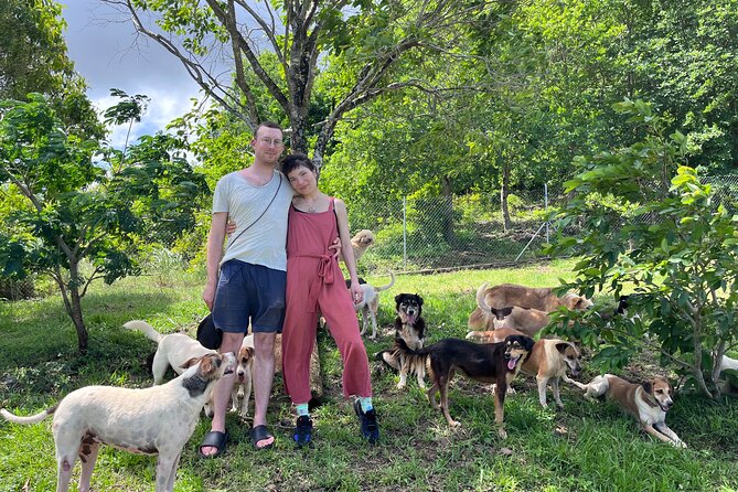 Dog Lover's guided tour of the Happy Tails Sanctuary - What your two hours are likely to include