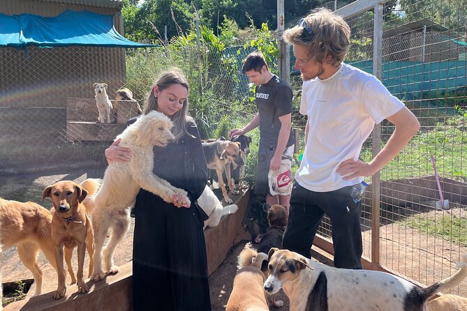 Dog Lover's guided tour of the Happy Tails Sanctuary - Why the hands-on contact matters